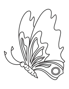 Butterfly Simple Patterned Side View Tracing Worksheets Pdf, Free Vectors File